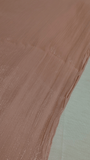Organza Sheen Silk - Champagne Pink